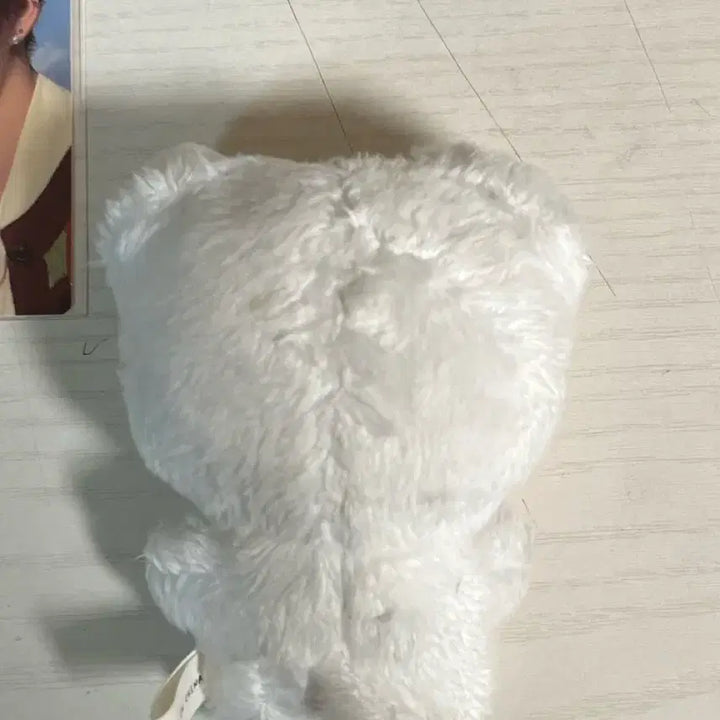 [BUNJANG] Enhypen ENniversary EN-imals Korea Ver. Plush Toy / 엔하이픈 엔니멀즈 한국개