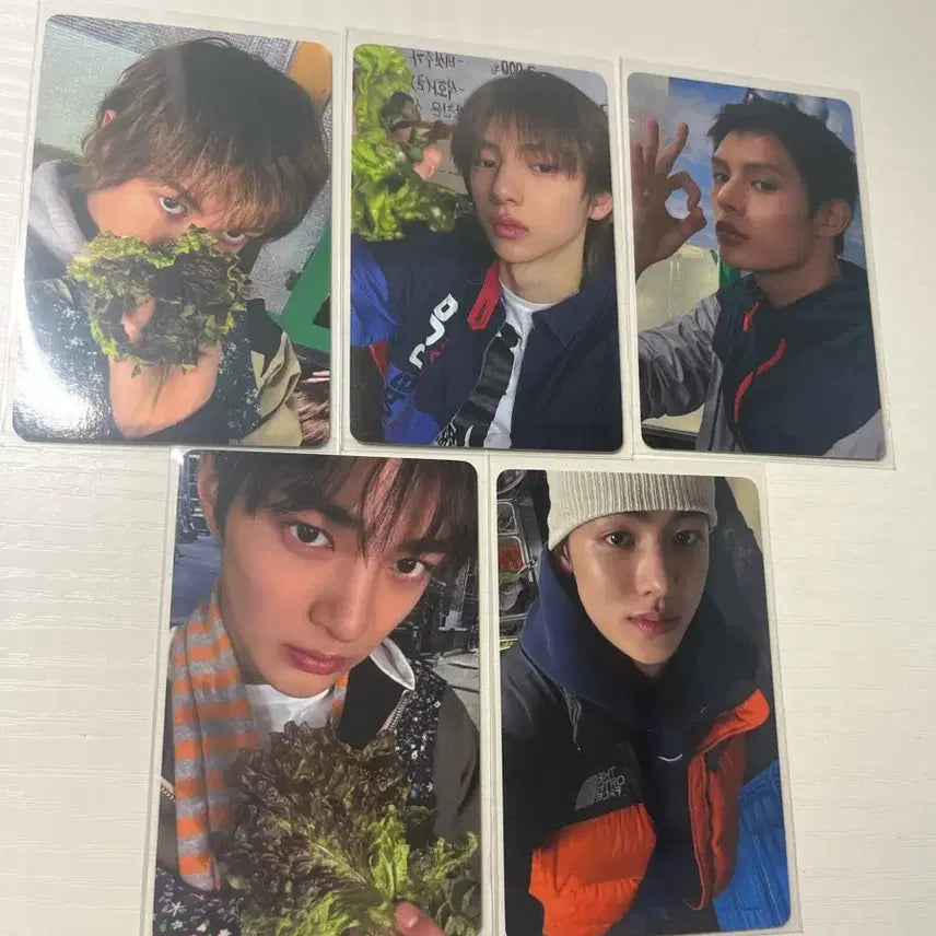 [BUNJANG] Cortis Photocard Bundle Set / 코르티스 포카 특전 5장 일괄