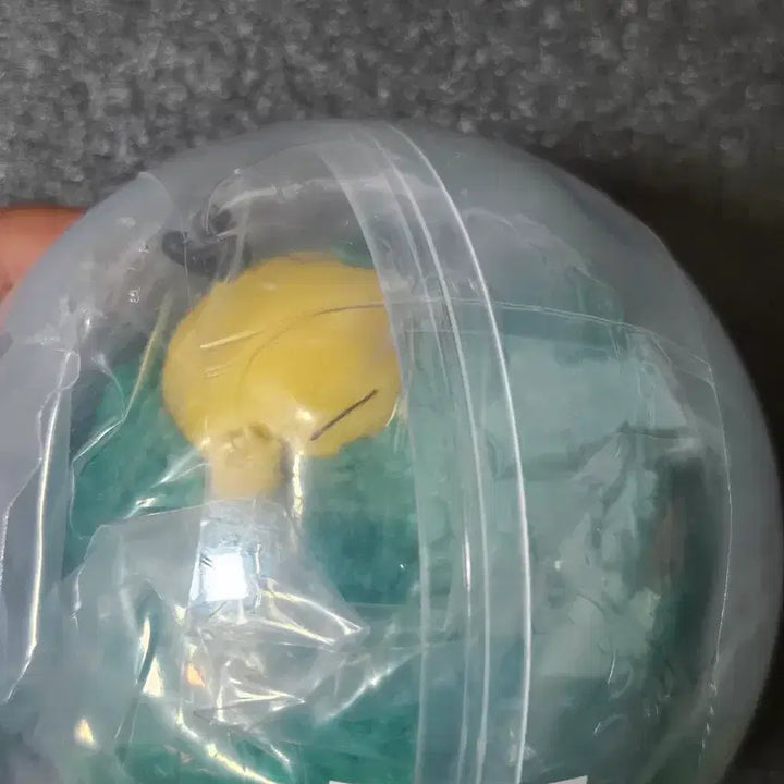 [BUNJANG] Pokemon Hide and Seek GoraPachyderm Capsule Toy / 원가양도 포켓몬 가챠 숨바꼭질 고라파덕 부산 캡슐 토이