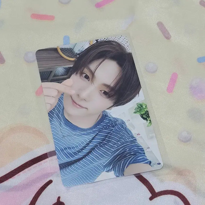 [BUNJANG] TWS Soda Soda Shibuya Pop-up Photocard Youngjae / 투어스 소다소다 팝업 시부야 포카 판매  영재