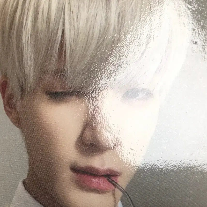 [BUNJANG] NCT Dream Jeno ITZY Ecobag Photocard / 엔시티 드림 제노 잇티제 에코백 포카