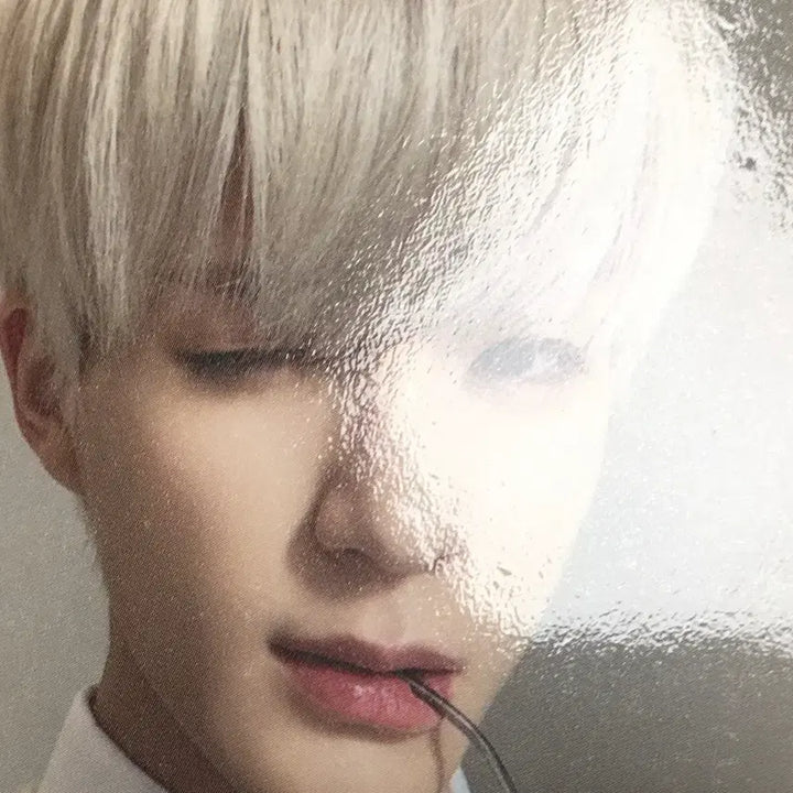 [BUNJANG] NCT Dream Jeno ITZY Ecobag Photocard / 엔시티 드림 제노 잇티제 에코백 포카