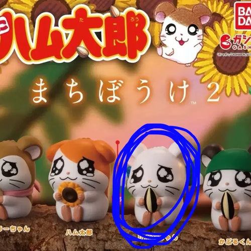[BUNJANG] Hamutaro Ribon Mashimaro 2nd Edition Figure / 햄토리 가챠 리본 마치보케 2탄 피규어