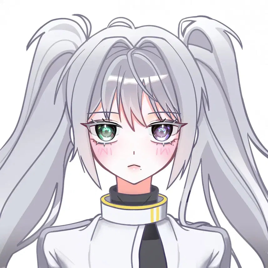 [BUNJANG] Female Character Bust Portrait Commission / 반짝반짝 여캐 두상 증명사진 프로필사진 타입 커미션