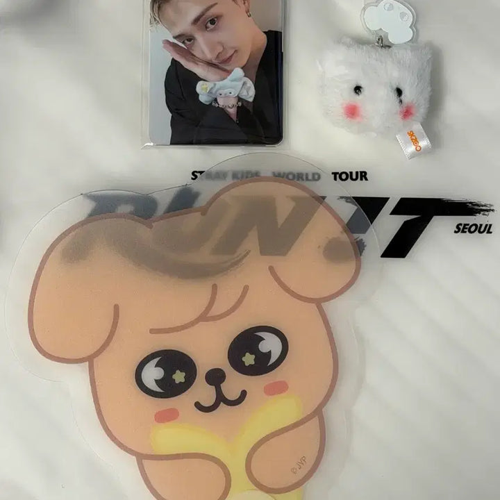 [BUNJANG] Stray Kids SKZOO Concert Stay Zone First Day Full Set PUNCH NECK Strap Fan &amp; Genielet Keyring / 스트레이키즈 스키즈 콘서트 스테이존 7/25 첫첫콘 풀셋 퍼핌 부채 지니렛 키링