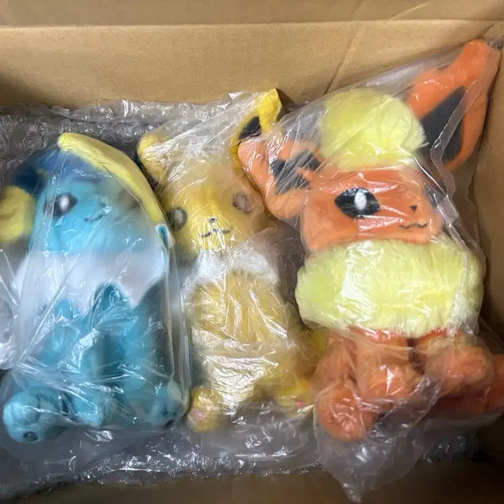 [BUNJANG] Pokemonfit Vaporeon, Jolteon, Flareon Set / 포켓몬fit 샤미드, 쥬피썬더, 부스터 일괄 판매