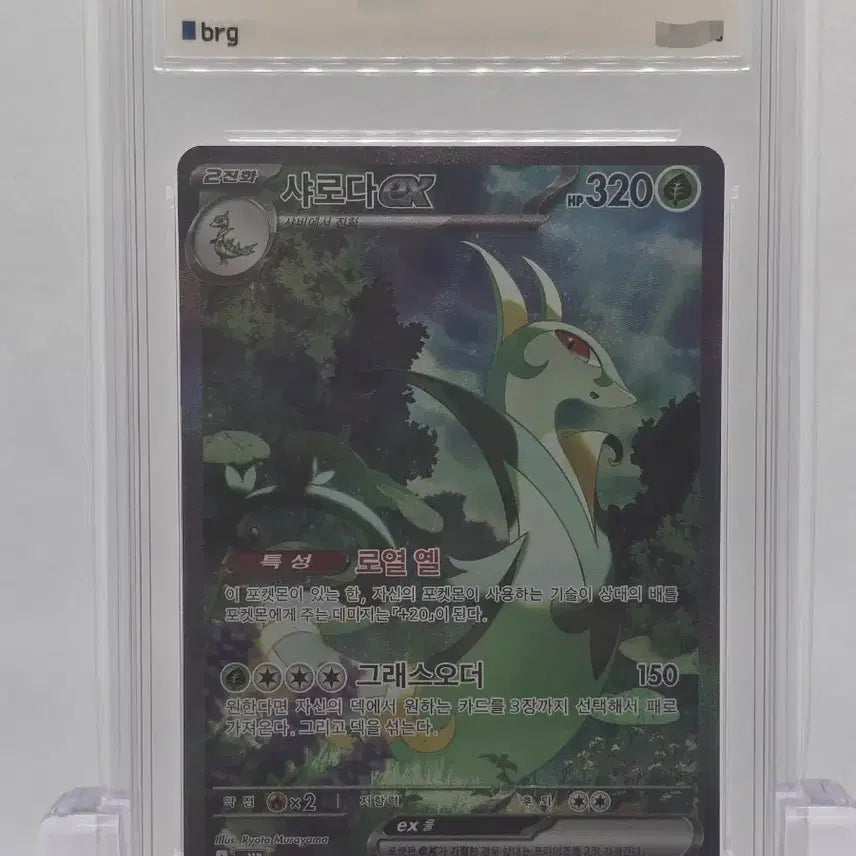 [BUNJANG] Pokemon Card Serperior SAR / [BRG 9] 포켓몬카드 샤로다 SAR