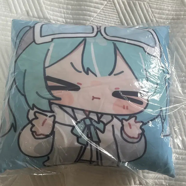 [BUNJANG] Arashi Tabi Cushion (Double-Sided) / 타비 쿠션 새상품