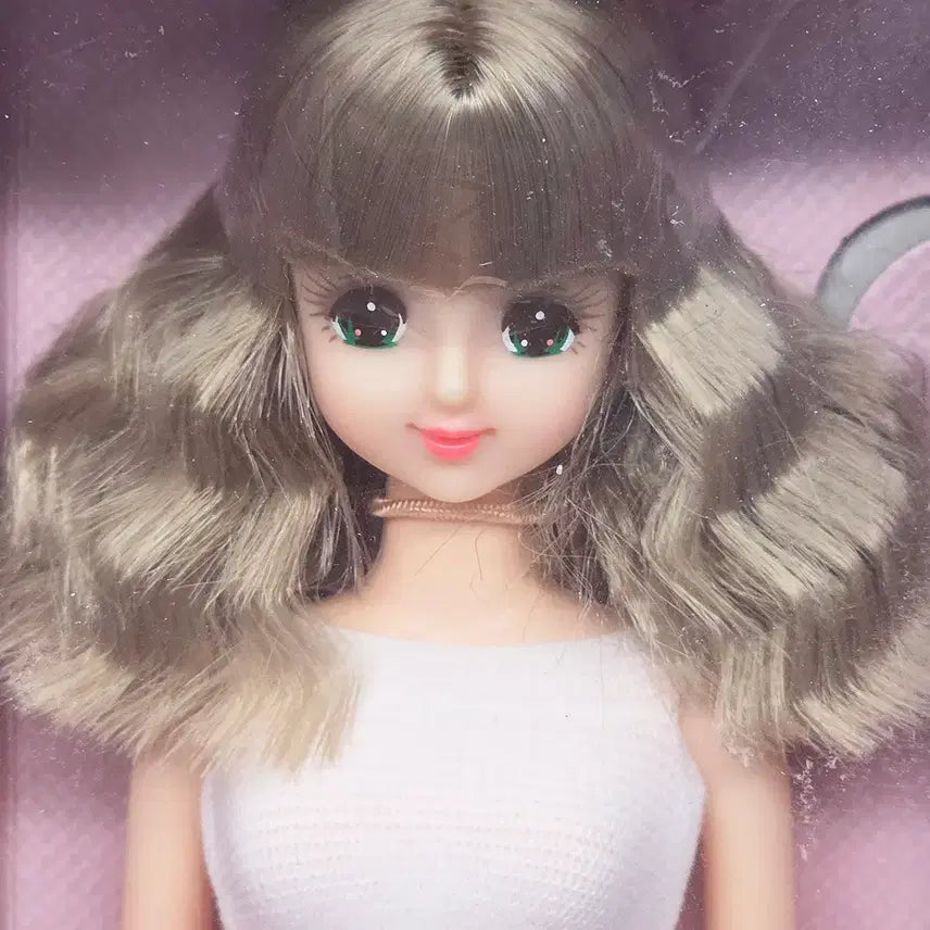 [BUNJANG] Takara Licca Castle Jenny Friend Fairy Field Jenny Doll / licca castle 리카캐슬 다카라 차상자 제니프렌드 페어리필드제니