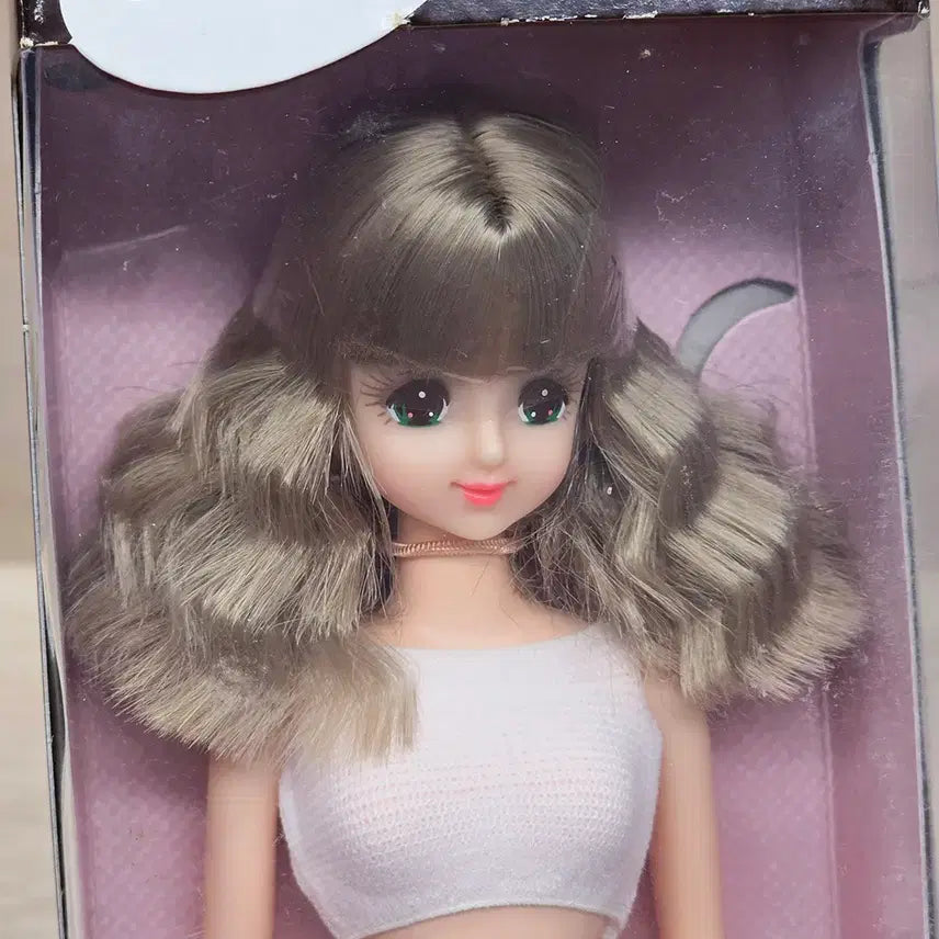 [BUNJANG] Takara Licca Castle Jenny Friend Fairy Field Jenny Doll / licca castle 리카캐슬 다카라 차상자 제니프렌드 페어리필드제니