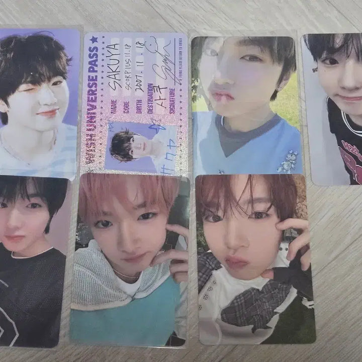 [BUNJANG] NCT WISH Sakuya Bundle Set Photocard / 엔시티 위시 사쿠야 포카 일괄 판매