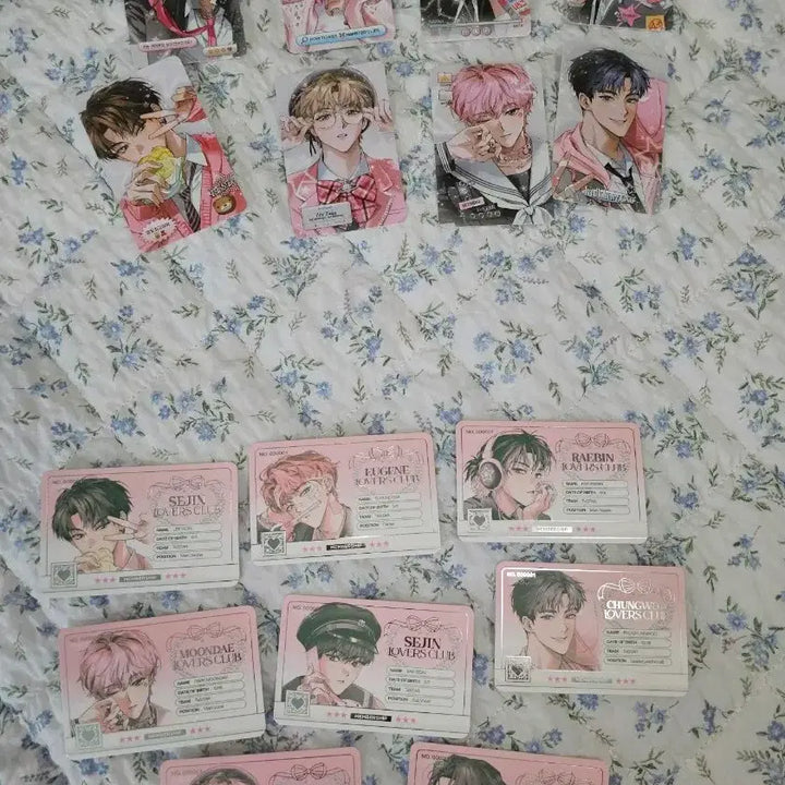 [BUNJANG] Debut or Die Tamaneugi School Look Photocard Bundle Set / 데못죽 다마네기님 스쿨룩 포토카드 포카 학생증 일괄