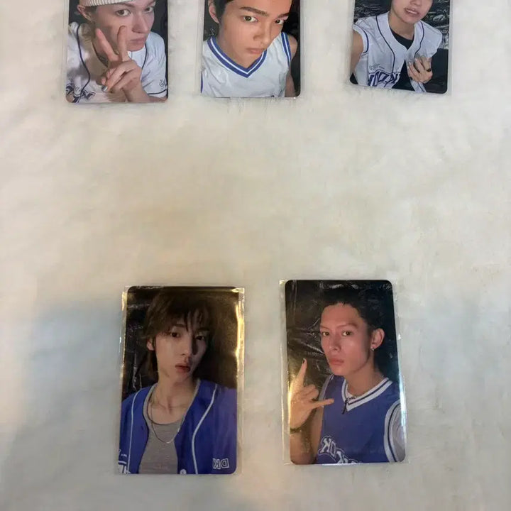 [BUNJANG] EVNNE Everline Lucky Draw POB Photocard / 코르티스 에버라인 Everline 럭키드로우 특전 포카 현물 미개봉