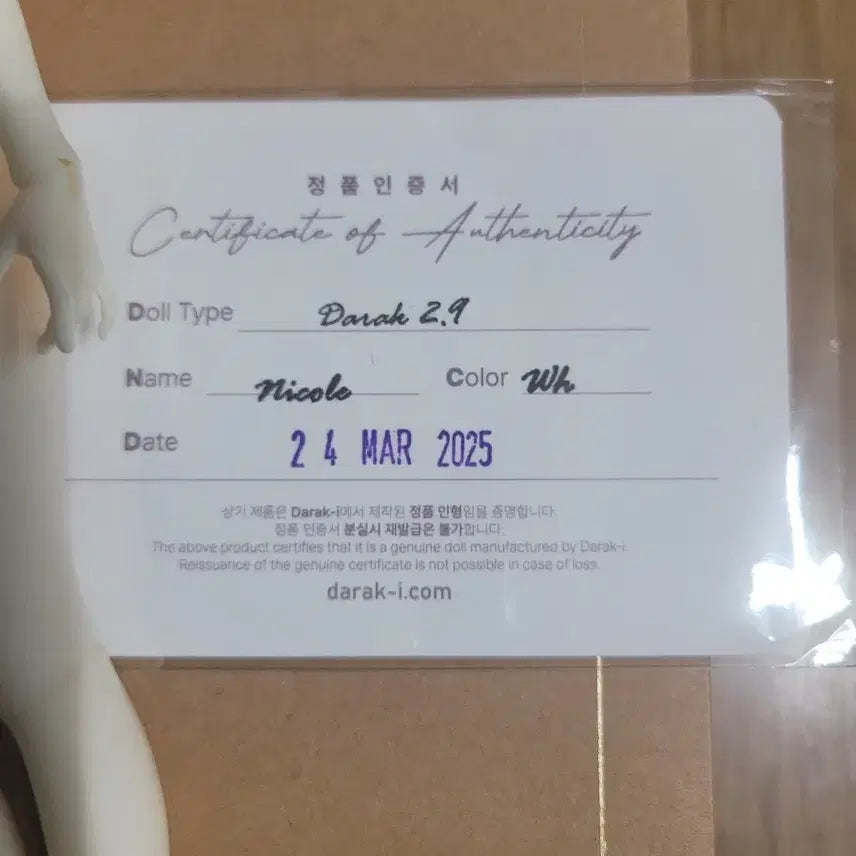 [BUNJANG] Darakai Nicole Ball-Jointed Doll / 다락아이 니콜  육일돌 구체관절 인형