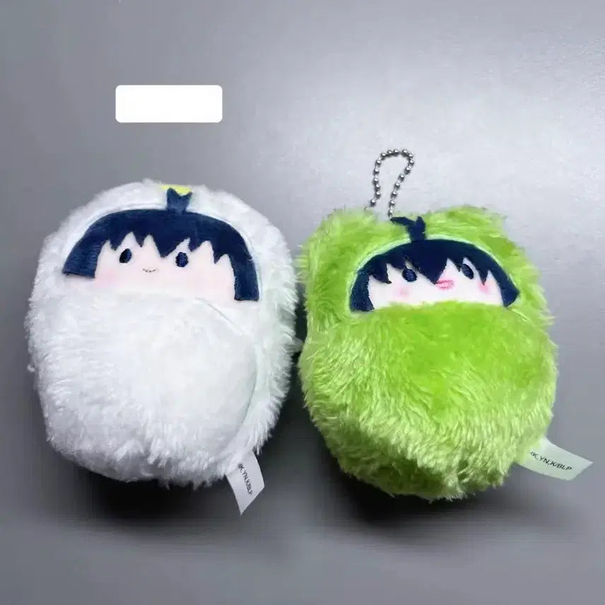 [BUNJANG] Isagi Yoichi Blue Lock Tapestry Plush Bundle Set / 블루록 이사기 요이치 타피누이 일괄 판매