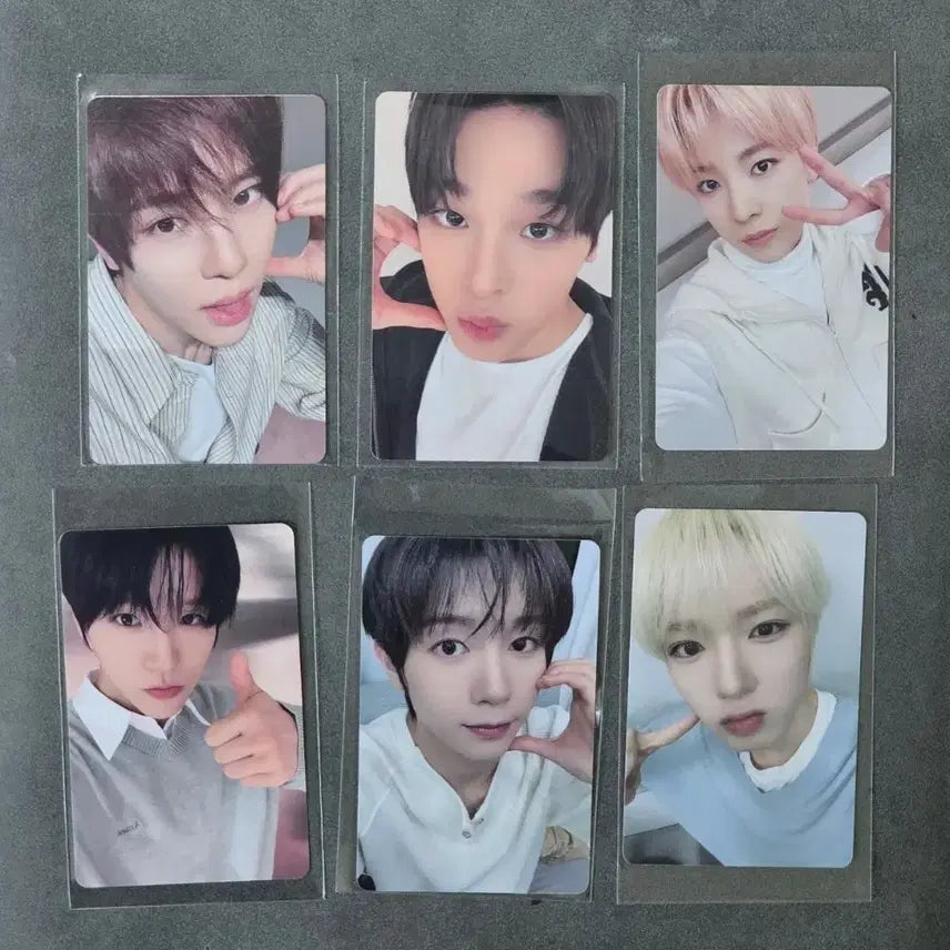 [BUNJANG] NCT WISH 260317 Color Pop Much 4th Photocard / 엔시티 위시 260317 컬러 팝머치 4차 - 1 nct wish