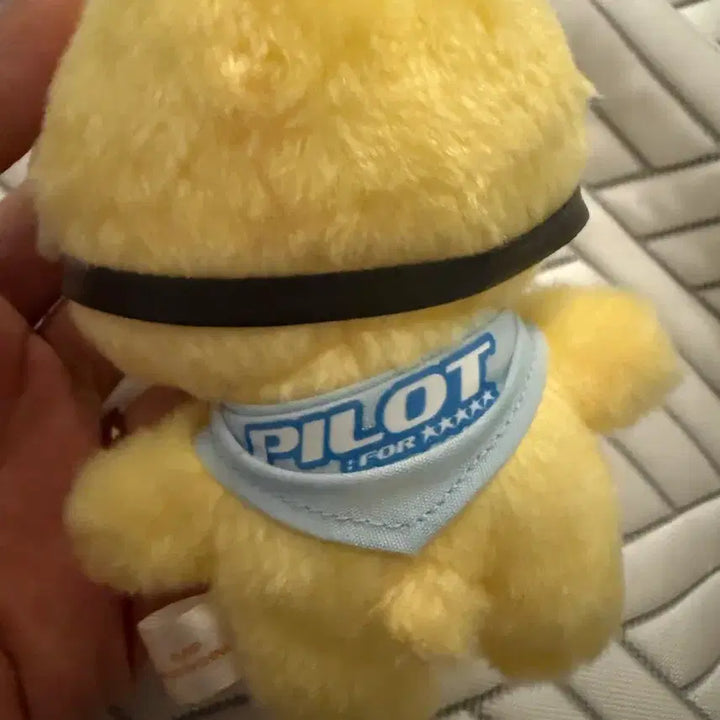 [BUNJANG] Bbokari Skizoo Pilot Plush / 뽁아리 스키주 파일럿
