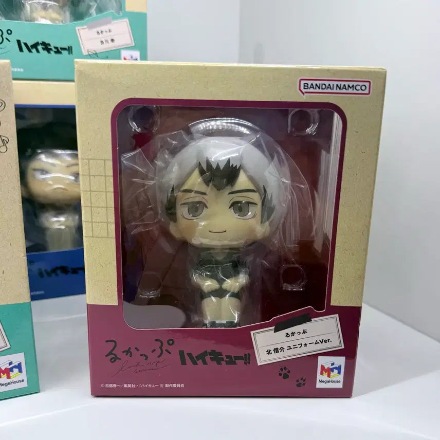 [BUNJANG] Haikyuu!! Shinsuke Kita Look Up Figure (Sealed) / (미개봉) 하이큐 키타 신스케 룩업