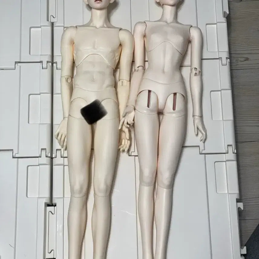 [BUNJANG] Alazi Hibiscus Half-Open Eyes Ball Jointed Doll Head &amp; Switch Labyrinth BJD Body Rosy White Bundle Set / 알하지 히비스커스 반개안 구관헤드&amp;스위치 라비린스 구관바디 로지 화이트 일괄
