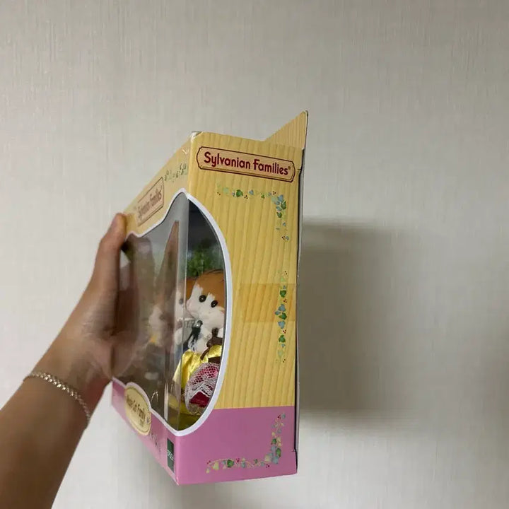 [BUNJANG] Sylvanian Families Maple Cat Family (Discontinued) Sealed New Product / 단종) 실바니안 메이플캣가족 미개봉 새상품