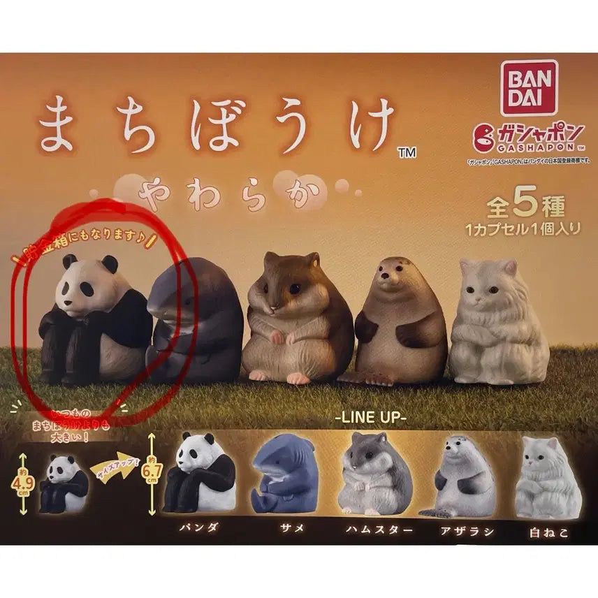 [BUNJANG] Bandai Machiboke Panda Big Version Gacha Capsule Toy / 일본 반다이 마치보우케 언제오려나 판다 빅버전 가챠 캡슐토이 판매