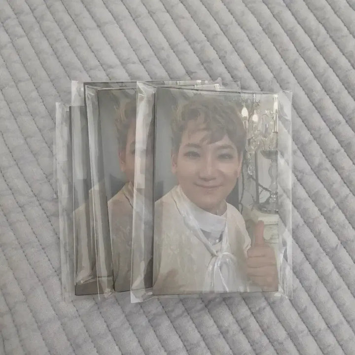 [BUNJANG] Musical Paganini Selca Photocard Set / 뮤지컬 파가니니 포토카드 셀카 셀포