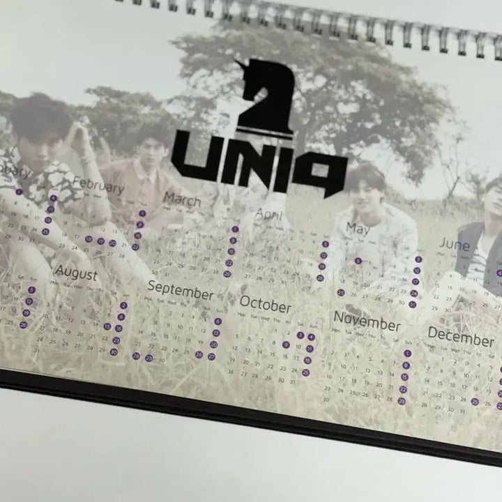 [BUNJANG] WOODZ Cho Seung Youn 2015 Calendar / 유니크 조승연 우즈 2015년 달력