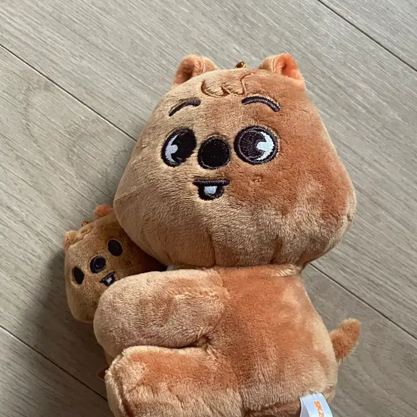[BUNJANG] Stray Kids Han Jin-eum Plush Magnet Doll / 스키즈 마그넷인형 플러쉬 나안아 한쿼카 스키주