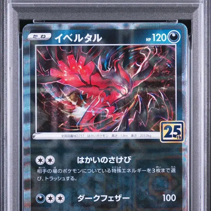 [BUNJANG] Pokemon TCG 25th Anniversary Holo Xerneas &amp; Yveltal PSA 10 Set / 포켓몬 카드 25주년 PSA10 홀로 제르네아스, 이벨타르 팝니다