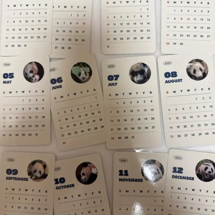 [BUNJANG] Everland Full View of Fu Bao Photocard Set / 에버랜드 전지적 푸바오 시점 포토카드 2종 일괄
