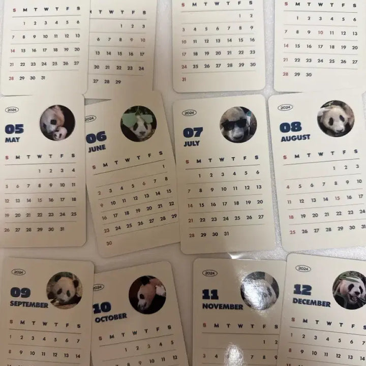 [BUNJANG] Everland Full View of Fu Bao Photocard Set / 에버랜드 전지적 푸바오 시점 포토카드 2종 일괄