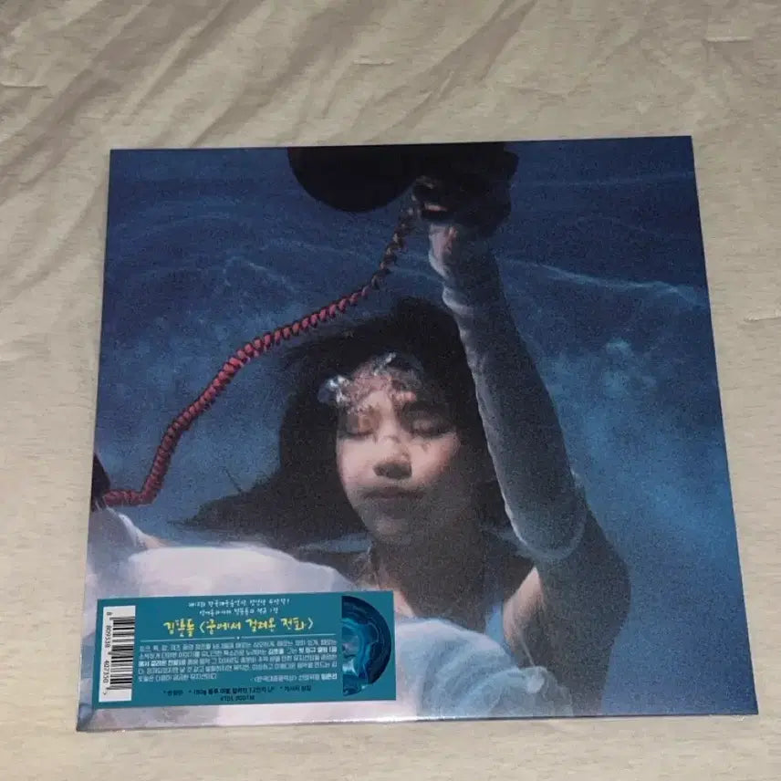 [BUNJANG] KIM TTETDUL 1st Album LP Blue Marble Limited Edition (Sealed) / 김뜻돌 1집 LP 블루마블 한정반 (미개봉)