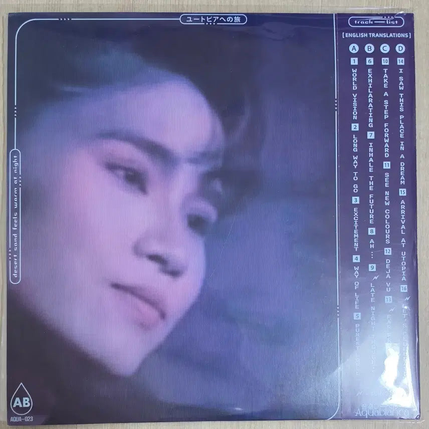 [BUNJANG] Desert sand feels warm at night Jorney to Utopia Gatefold (Slushwave) LP / DSFWAN Jorney to Utopia 2lp (슬러시웨이브)