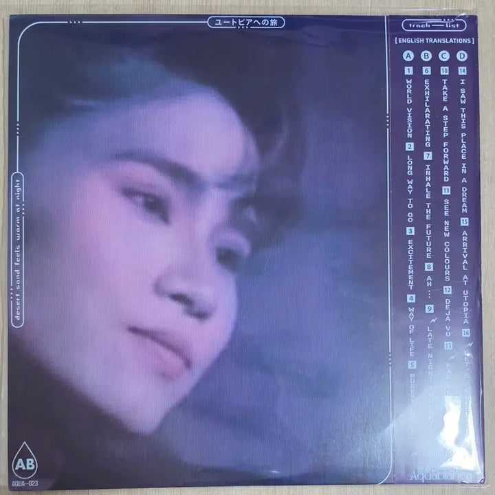 [BUNJANG] Desert sand feels warm at night Jorney to Utopia Gatefold (Slushwave) LP / DSFWAN Jorney to Utopia 2lp (슬러시웨이브)