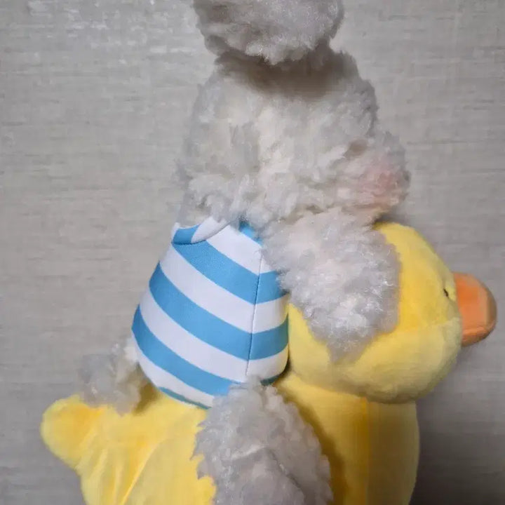 [BUNJANG] Duck Boat Crispy Friends Glutinous Rice Puppy Plush Toy / 오리배 꼬순내친구들 찹쌀 강아지인형