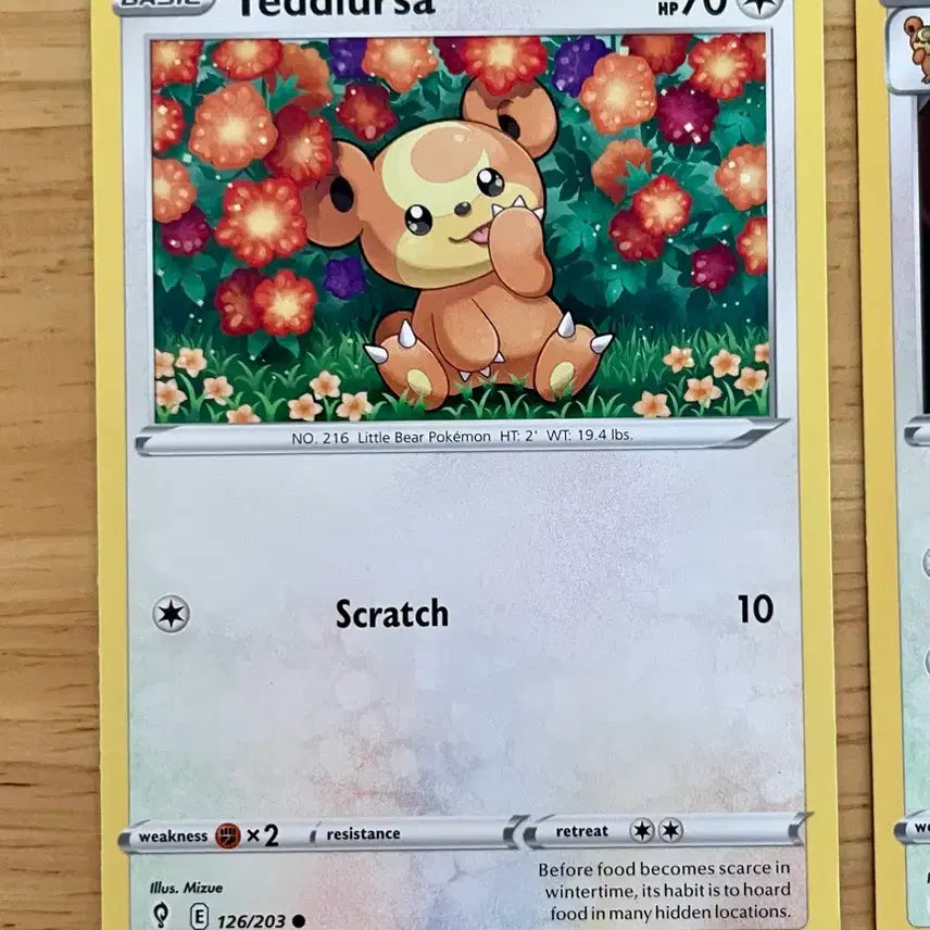 [BUNJANG] Pokemon Cards Teddiursa &amp; Ursaring Set (North America) / 북미 포켓몬카드 깜지곰 링곰 세트
