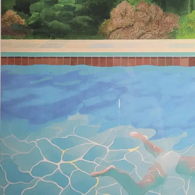 [BUNJANG] David Hockney "The Swimmer" Limited Edition Print / 데이비드 호크니 그림 판화 에디션