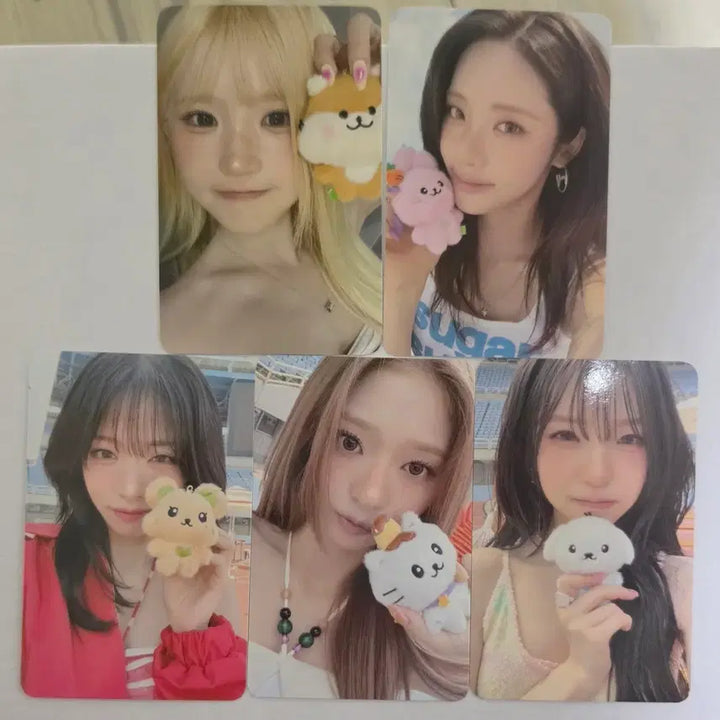 [BUNJANG] fromis_9 2nd Album Glow ME Popup Lucky Draw Photocard Set / 프로미스나인 2집 Glow ME 팝업 럭키드로우 포토카드 5종 일괄
