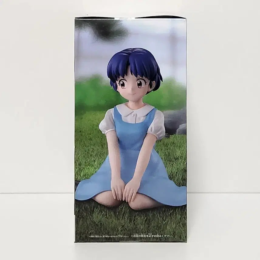 [BUNJANG] Banpresto Relax Time Figure Tendo Akane Ranma 1/2 / 반프레스토 릴렉스 타임 피규어 란마 2분의1 텐도 아카네