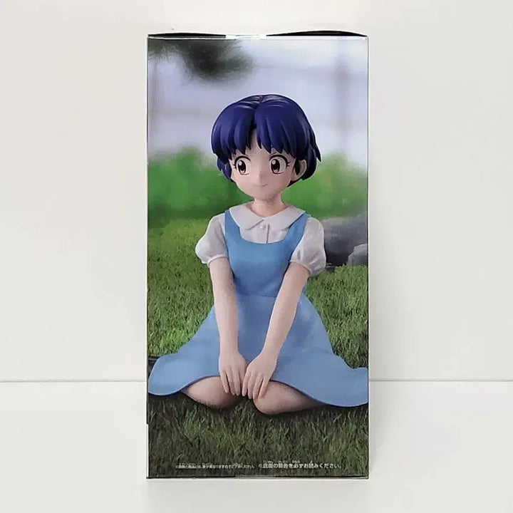 [BUNJANG] Banpresto Relax Time Figure Tendo Akane Ranma 1/2 / 반프레스토 릴렉스 타임 피규어 란마 2분의1 텐도 아카네