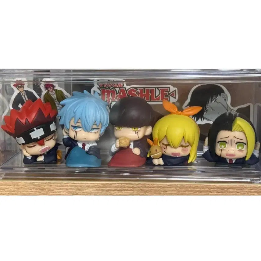 [BUNJANG] Mashle: MASHLE Onemutan Gacha Full Set / 마슐 오네무탄 가챠 5종 세트
