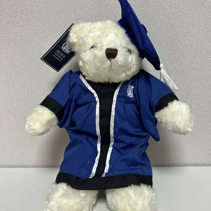 [BUNJANG] Seoul National University SNUBEAR Graduation Bear / 서울대 졸업 곰인형 스누베어