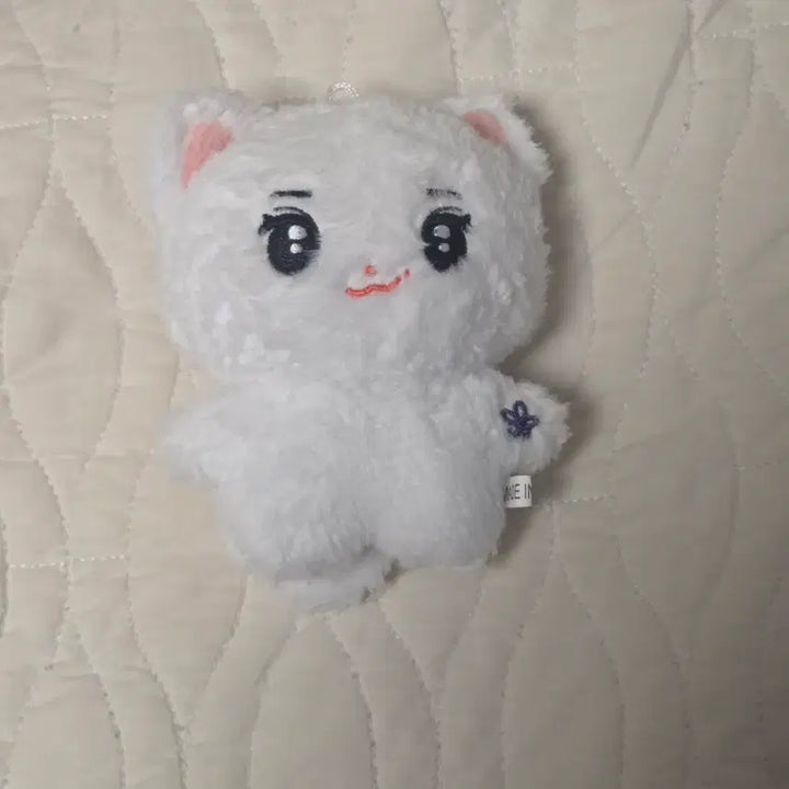 [BUNJANG] INTO1 Zhou Keyu Cat Plush / 빵주, 김병주 인형