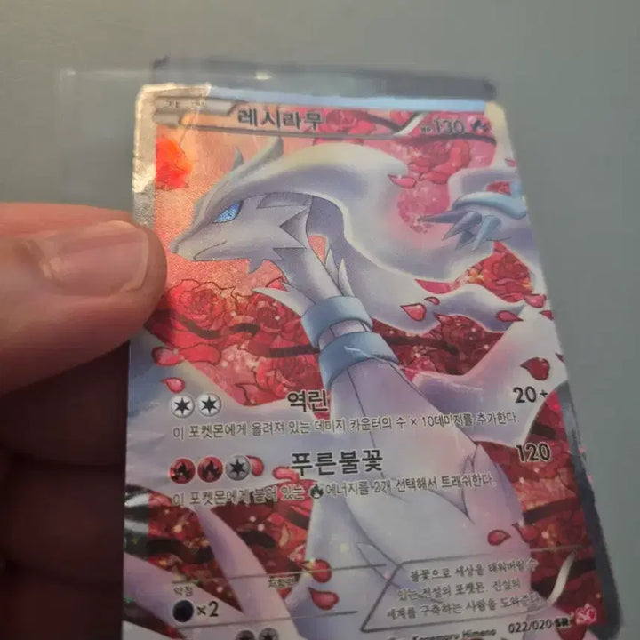 [BUNJANG] Pokemon Card Reshiram SR Shiny Collection / 포켓몬카드 레시라무 SR 샤이니컬렉션