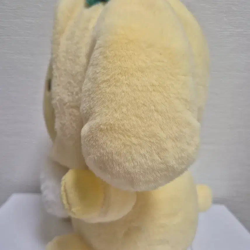 [BUNJANG] Pompompurin Plush Doll / 폼폼푸린 인형