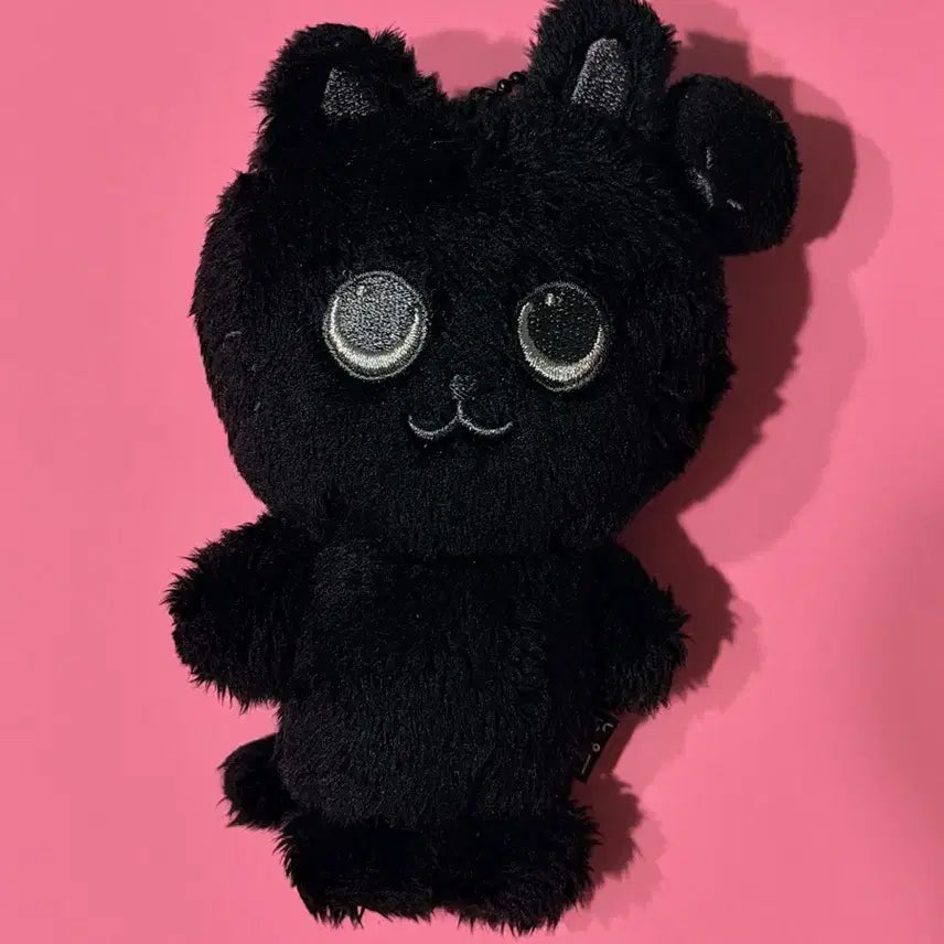 [BUNJANG] RIIZE Wonbin Black "Tonya-duck" Fame Exhibition Goods / 라이즈 원빈 토냥덕 블랙토냥덕 페임 fame 전시회 굿즈