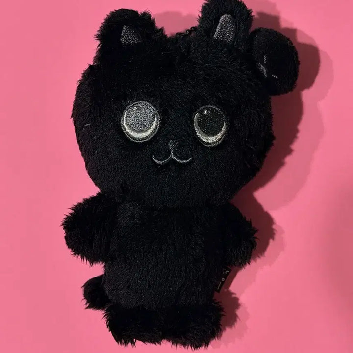 [BUNJANG] RIIZE Wonbin Black "Tonya-duck" Fame Exhibition Goods / 라이즈 원빈 토냥덕 블랙토냥덕 페임 fame 전시회 굿즈