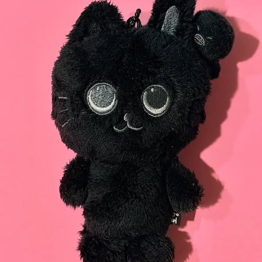 [BUNJANG] RIIZE Wonbin Black Tto-nyang-deok Fame Exhibition MD Goods Keychain / 라이즈 원빈 토냥덕 블랙토냥덕 페임 fame 전시회 MD 굿즈 키링