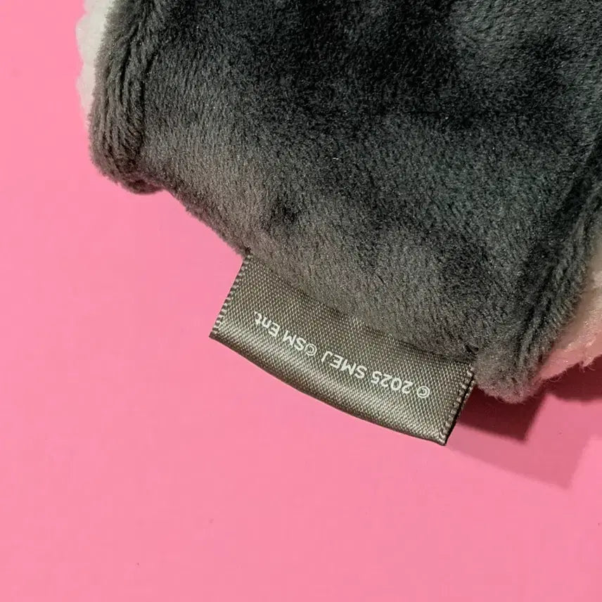 [BUNJANG] RIIZE Wonbin Tonnyangdeok Japan Tokyo Pop-up Plush Doll Keychain / 라이즈 원빈 토냥덕 일본 도쿄 팝업 라이즈시 초밥 인형 키링
