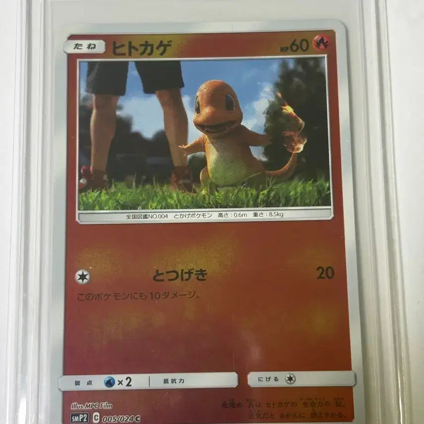 [BUNJANG] Pokemon Card Charmander Detective Pikachu (Japanese Edition) / 포켓몬 카드 파이리 명탐정 피카츄 (일어판)
